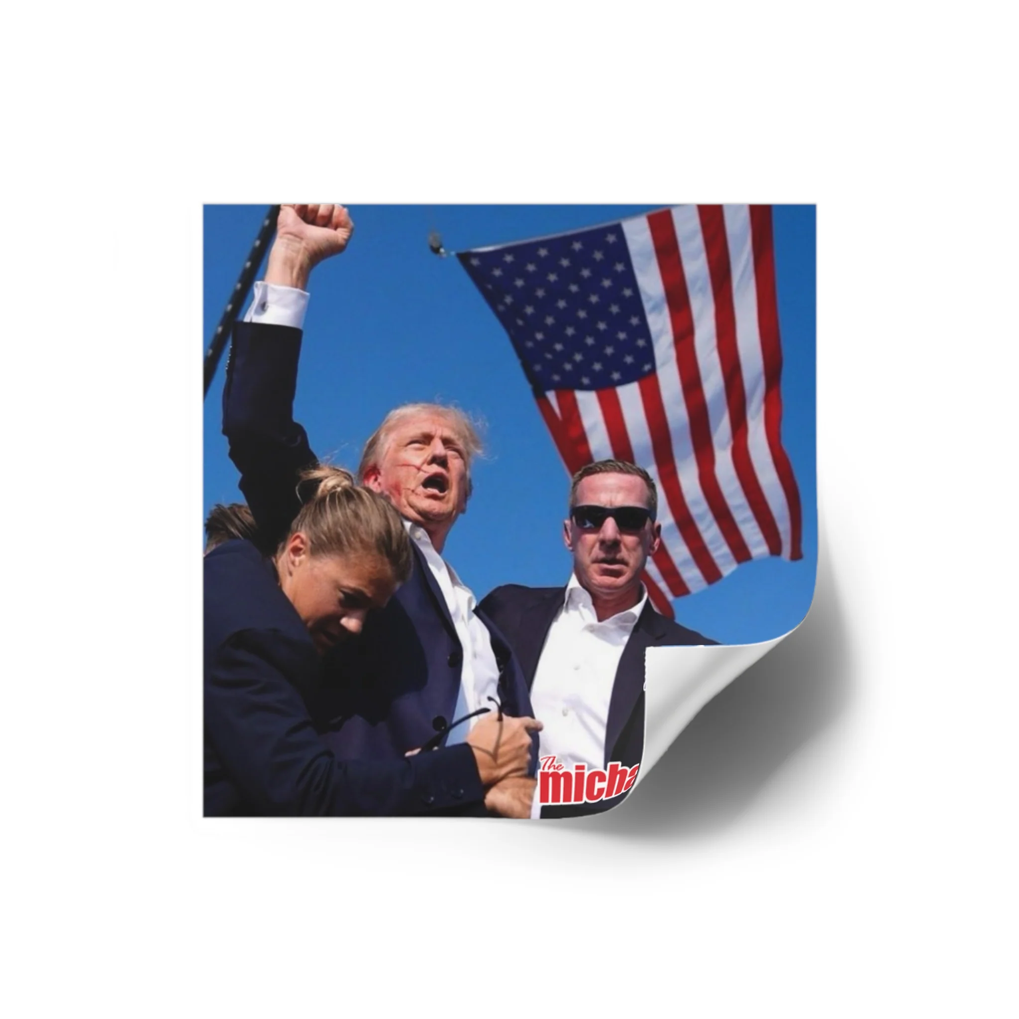 America - Vinyl Stickers (Indoor\Outdoor Rated) - Image 9