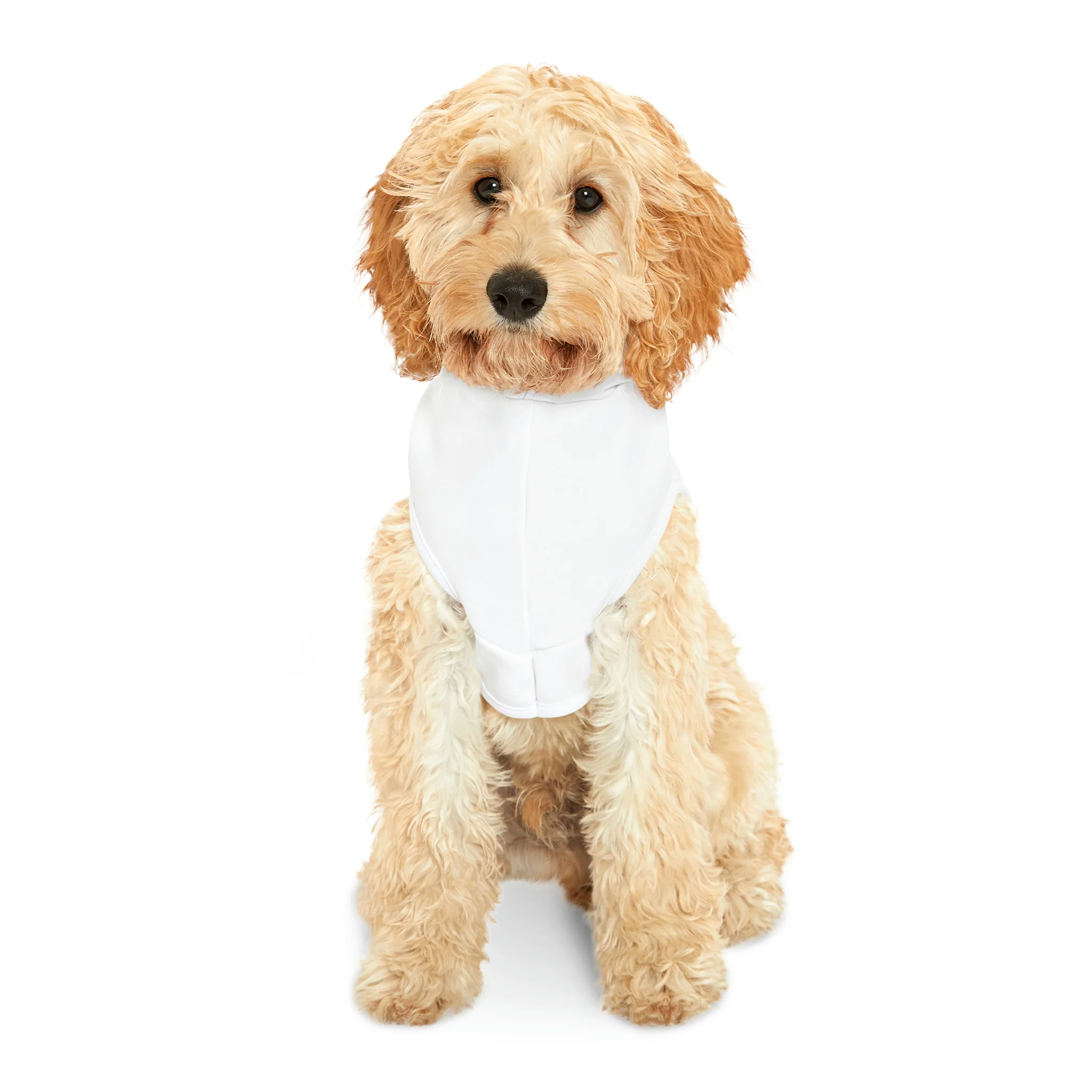 Pet Hoodie - Image 5