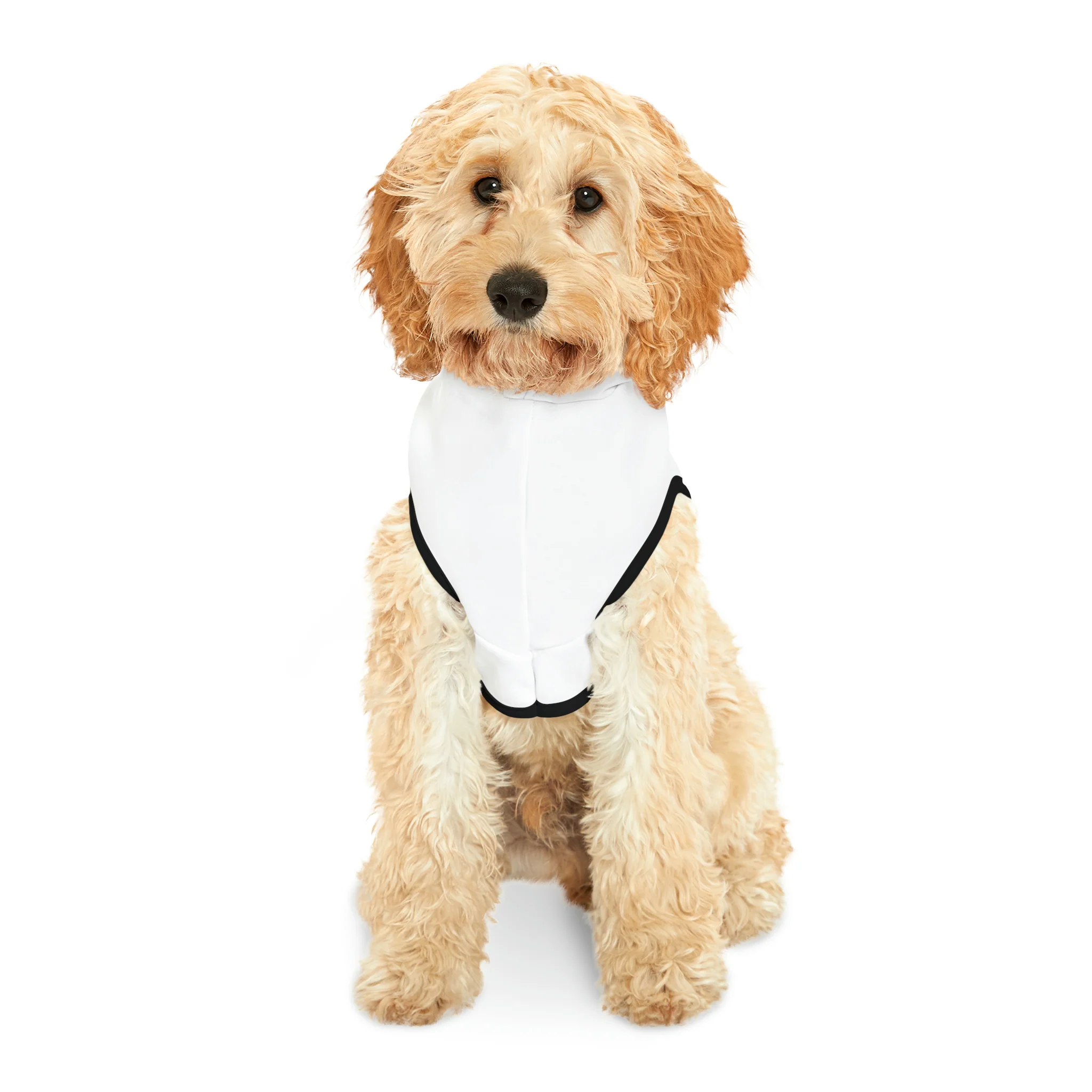 Pet Hoodie - Image 8